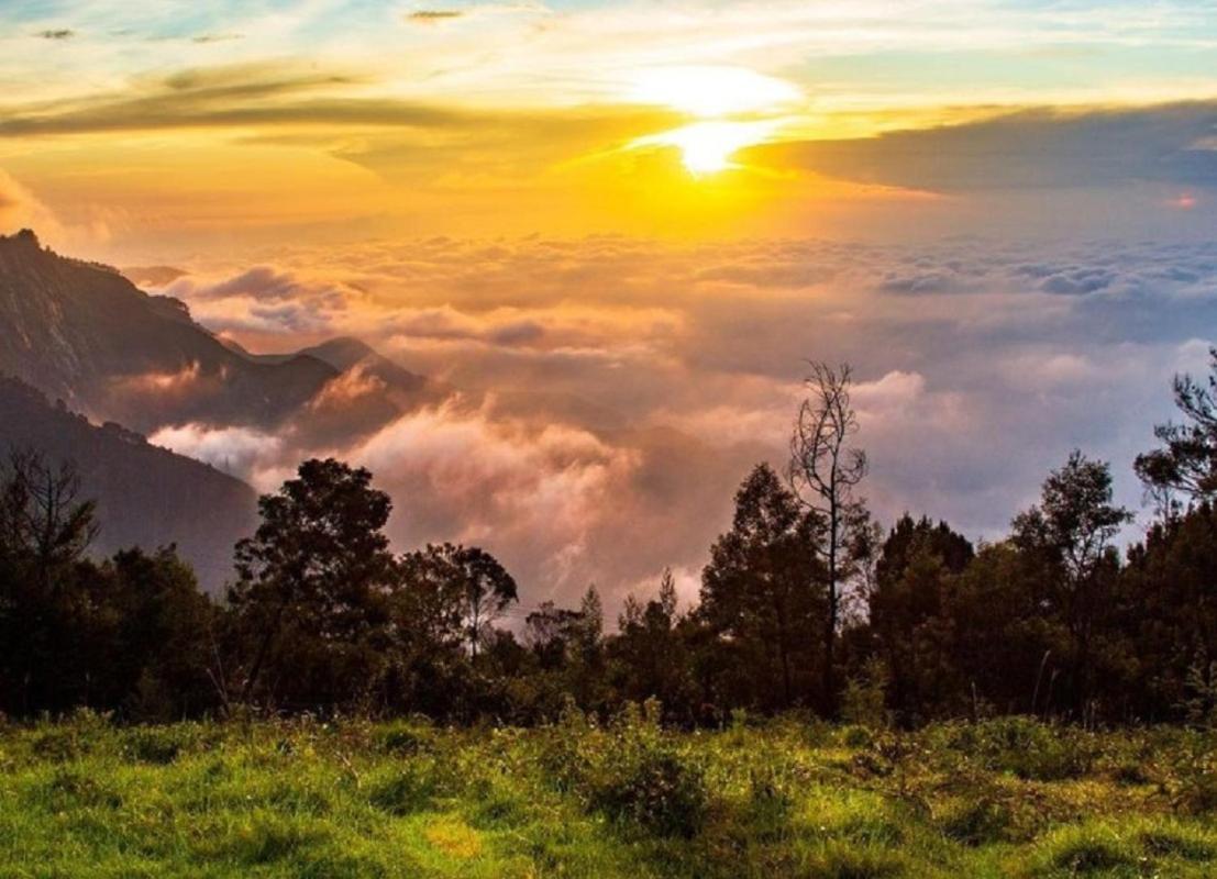 Bed and Breakfast Cloud Walk Tamilnadu - Tamilnadu - Kodaikanal Exterior foto