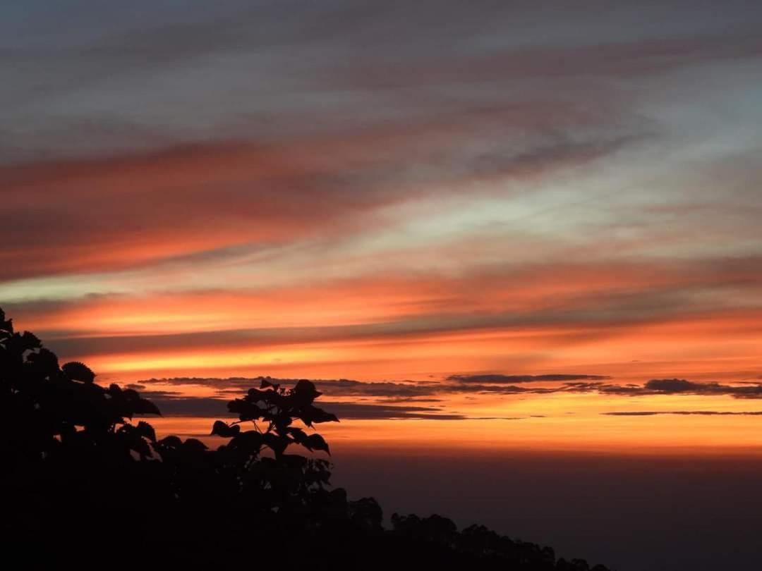 Bed and Breakfast Cloud Walk Tamilnadu - Tamilnadu - Kodaikanal Exterior foto