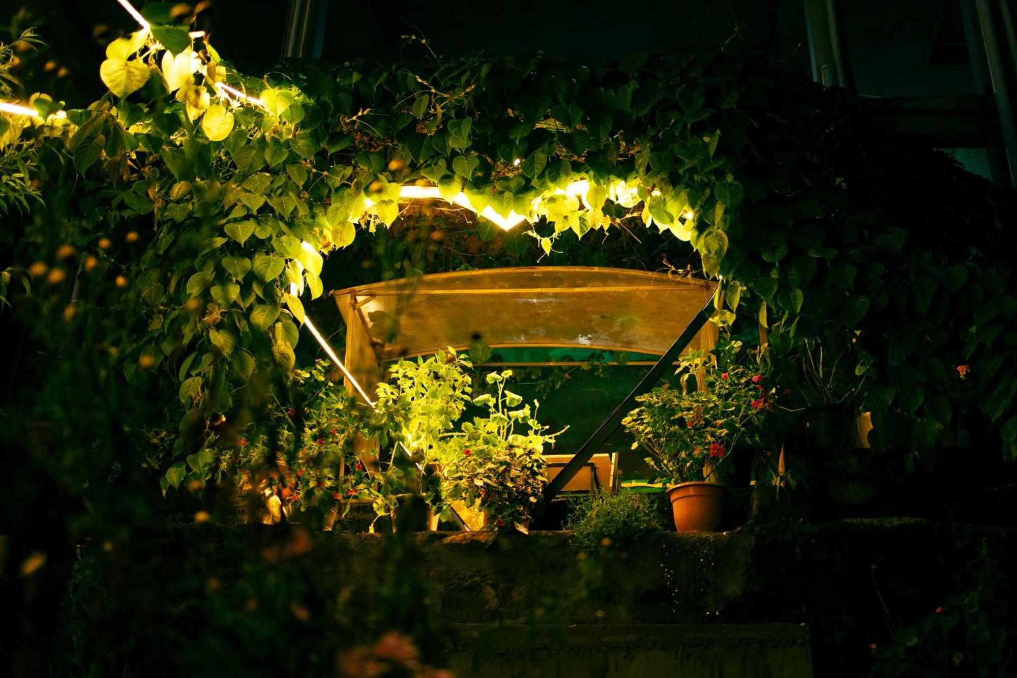 Bed and Breakfast Cloud Walk Tamilnadu - Tamilnadu - Kodaikanal Exterior foto